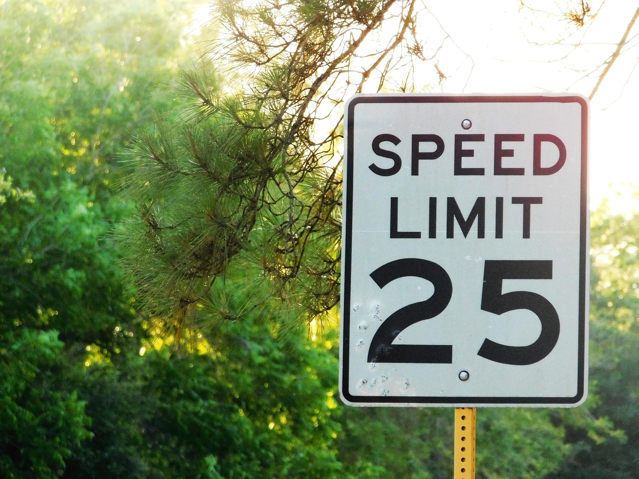 Speed Limits Information for Michigan  Elia & Ponto PLLC